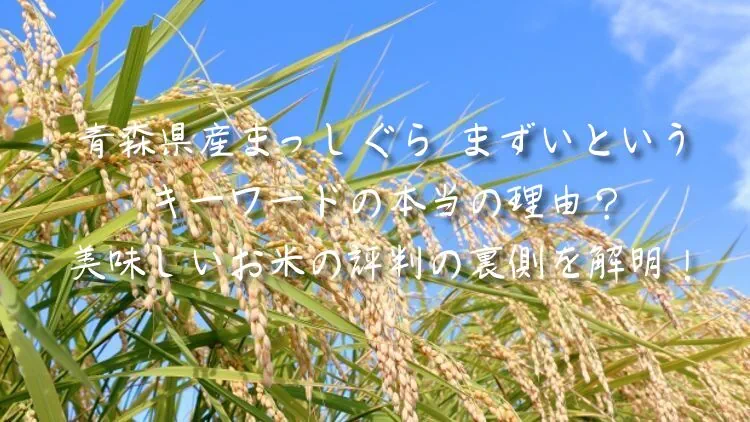 青森県産まっしぐら まずいというキーワードの本当の理由？美味しいお米の評判の裏側を解明！