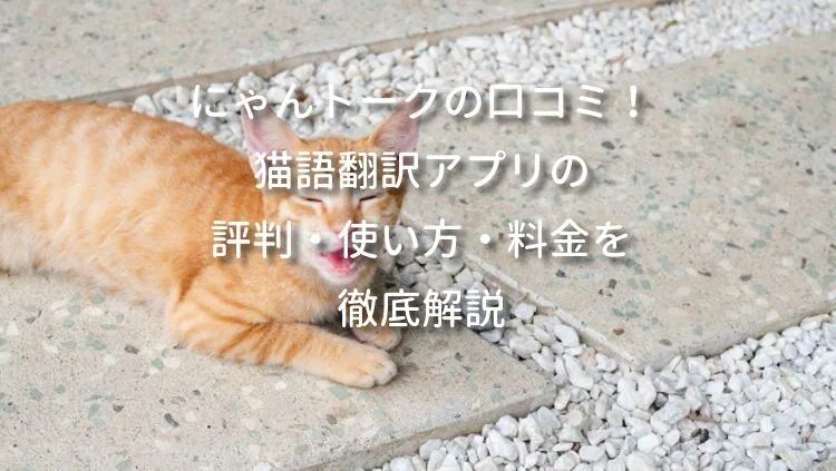 にゃんトークの口コミ！猫語翻訳アプリの評判・使い方・料金を徹底解説