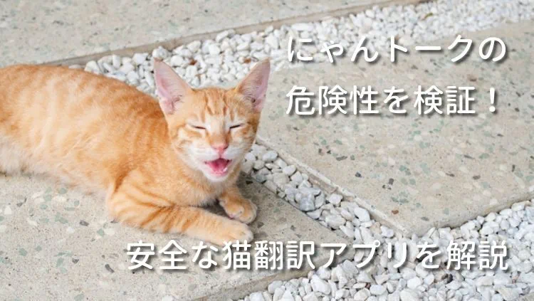 にゃんトークの危険性を検証！安全な猫翻訳アプリを解説